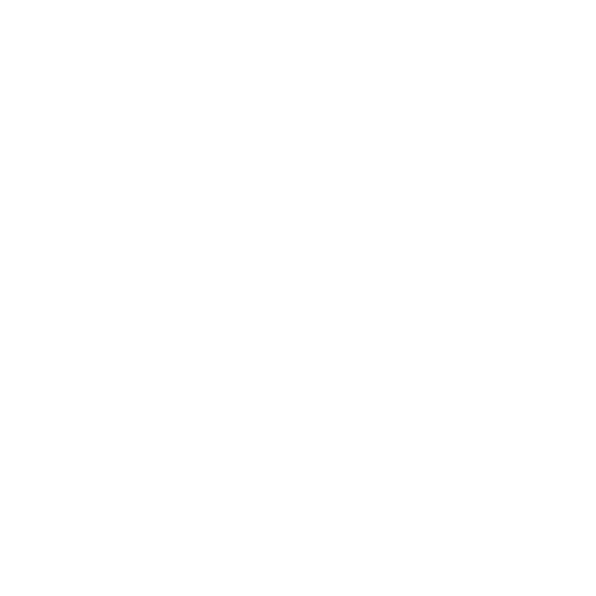 Ribiera